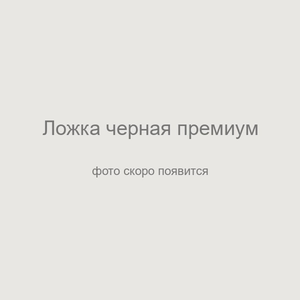 Ложка столовая пластиковая черная премиум